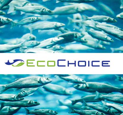 Eco Choice