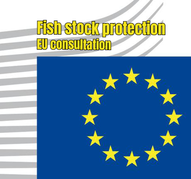 Fish_stock_protection.jpg  