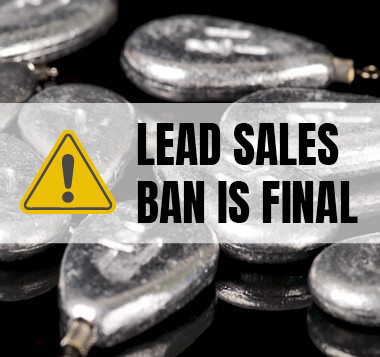 LEAD_SALES_BAN_FINAL__3.jpg 