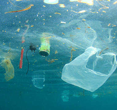Plastic_pollution.jpg  